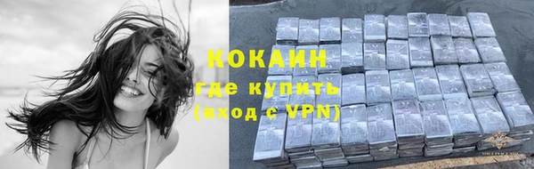 спиды Каменногорск