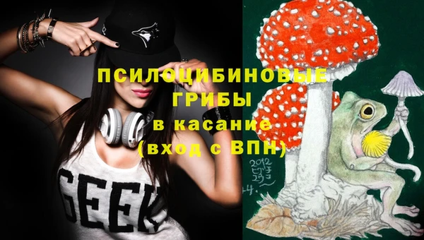 спиды Каменногорск